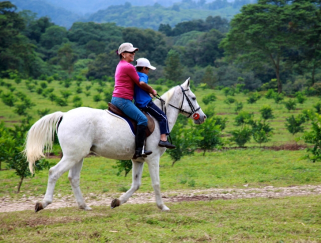 Galopando en el campo